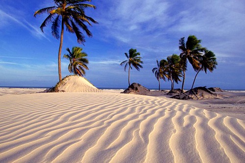 Passeio à Praia de Mangue Seco